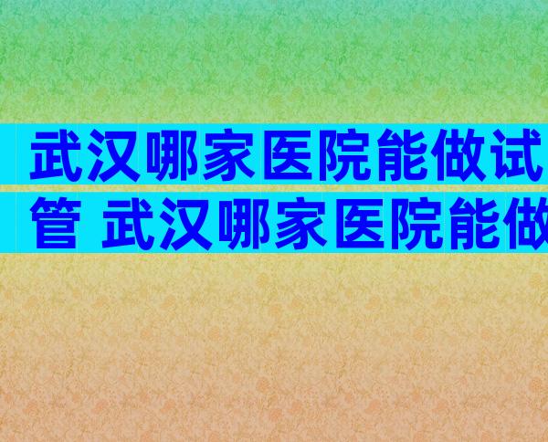 武汉哪家医院能做试管 武汉哪家医院能做试管婴儿移植